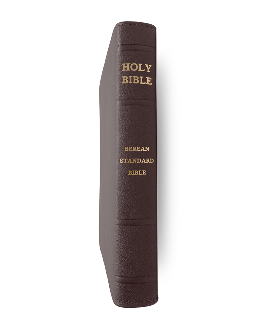 genuine leather bible